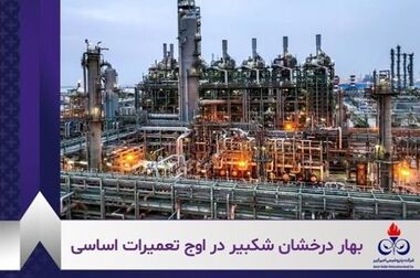 دعوت به حضور در مجمع عمومی عادی سالانه شرکت پتروشیمی امیرکبیر (سهامی عام)