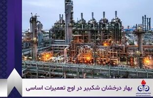 تحقق سود خالص ۱۵۹ درصدی و جهش ۳۰ درصدی درآمد فروش