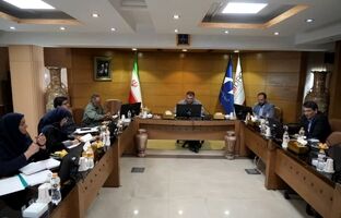 جرجانی: از ظرفیت معادن کوچک برای ایجاد اشتغال و ارزش افزوده استفاده کنیم