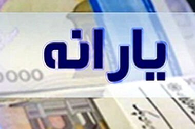 معرفی دو مدیر جدید در بانک ملی ایران /وکیلی و رضایی معاون سرمایه‌گذاری و امور شرکت‌ها و مدیر امور حوزه مدیرعامل شدند