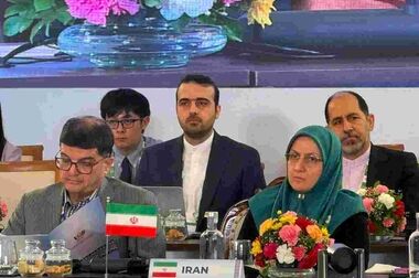 اتابک: توسعه صنعتی با حفاظت از محیط زیست محقق می‌شود