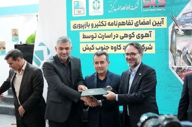 پیام مدیرعامل فولاد کاوه جنوب کیش به مناسبت میلاد حضرت فاطمه زهرا سلام‌الله‌علیها