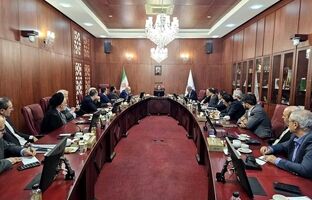 وزیر امور اقتصادی و دارایی با مدیران عامل عضو کانون بانک‌ها و موسسات اعتباری خصوصی دیدار کرد