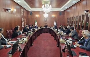 وزیر امور اقتصادی و دارایی با مدیران عامل عضو کانون بانک‌ها و موسسات اعتباری خصوصی دیدار کرد