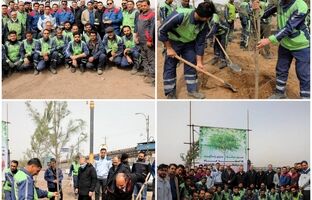 برگزاری مراسم کاشت نهال با حضور معاونین و مدیران شرکت فولاد سنگان