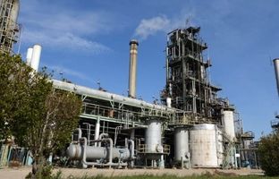 فارابی در ماه اخیر ۲۳۲٪ نسبت به مدت مشابه پارسال افزایش فروش داشت