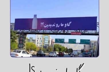 ورود پگاه زنجان به بازار سرمایه؛ گامی تازه در شفافیت و خودکفایی صنایع لبنی کشور