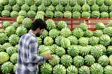 افتتاح همزمان پنج بازار جدید میوه و تره‌بار در تهران با سرمایه‌گذاری ۱۰۰ میلیاردی/ رشد بیش از ۱۵ درصدی فروش در شب یلدا