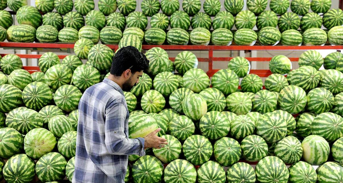 تغییر ساعات میادین و بازارهای میوه و تره‌بار به مناسبت شب یلدا