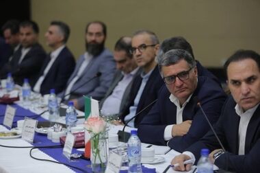 از اجحاف ۳۶ میلیون دلاری در حق پتروشیمی ایلام جلوگیری شود