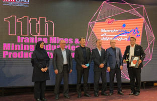 ارفع تندیس برنزین پیشتازان بهره‌وری را دریافت کرد