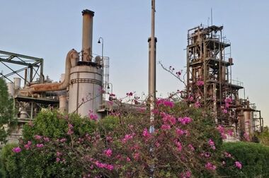 با حضور حجت الاسلام والمسلمین سلامت نژاد امام جمعه محترم شهرستان بندر ماهشهر از طرح طبقه بندی مشاغل رونمایی شد