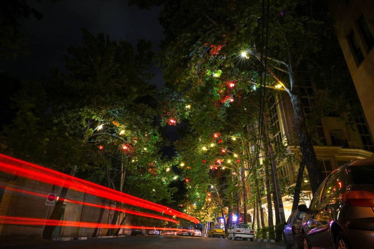 المان نوری ماهی های رنگی بر درختان خیابان عمار نصب شد