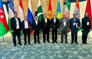 استقبال از طرح ایران برای اتصال برق کشورهای عضو سازمان شانگهای/ توسعه تجدیدپذیرها فرصت همگرایی را افزایش داده است