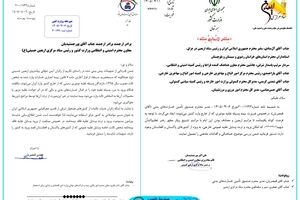 بیمه خودروهای خارجی در مسیر اربعین اجباری شد