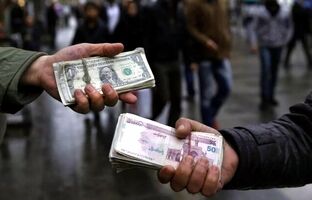 قیمت دلار بر می گردد/ دلالان به دنبال برهم زدن بازار هستند