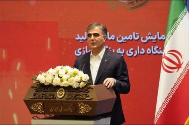 امسال آخرین سال بنگاه داری بانک ها است