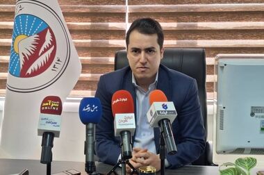 پیام تبریک مدیر عامل بیمه ایران به مناسبت هفته وحدت