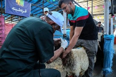 شهروندان با خیال راحت خرید کنند!