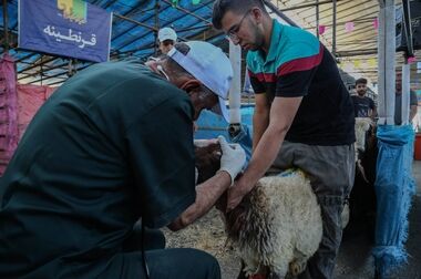 از حضور سازمان مدیریت میادین در ایام جنگ 12 روزه، می‌توان الگوبرداری کرد