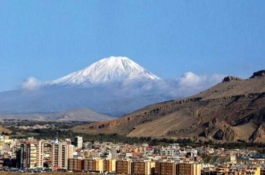 خبر خوب| آغاز اولین برداشت محصول گردو از باغات ۲۳۵۰ هکتاری شرکت آریا دشت در منطقه آزاد ماکو