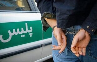 پایان کار باند حرفه‌ای «سند نمره»؛ سارقان خودرو با ۱۰۰ میلیارد ریال اموال مسروقه به دام افتادند