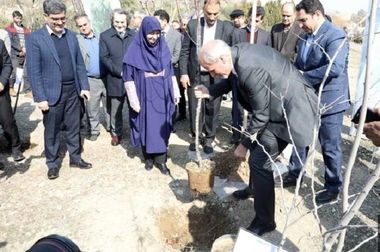 ایران، ای سرای امید؛ نقشی از صلح و پایداری بر دیوارهای زخم‌خورده کوی نصر