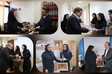 افزایش تولیدات پتروشیمی شازند