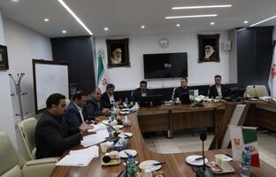 راهکارهای توسعه و حل مشکلات مجتمع مس دره‌آلو بررسی شد/تاکید دکتر فیض بر رفع موانع پیش‌روی مجتمع مس دره‌آلو