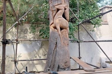 المان نوری ماهی های رنگی بر درختان خیابان عمار نصب شد