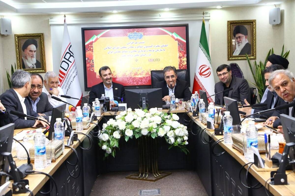 سمیعی نژاد: بازگشت ایمیدرو به اساسنامه، اهداف برنامه هفتم را محقق می کند