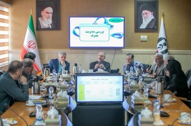 تأکید بر همکاری و همیاری تمام سازمان‌ها و ارگان‌ها در کمیته ملی زنان و خانواده ستاد مبارزه با موادمخدر/ لزوم توجه به اقتضائات زنان در مقابله با اعتیاد