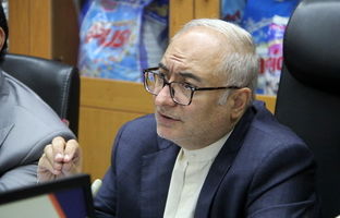 رسالت گروه، حمایت و تسهیل امور شرکت‌های زیرمجموعه است