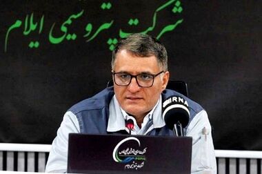 مدیرعامل پتروشیمی ایلام منصوب شد