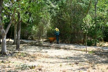 طرح رصد سازه‌های ساختمان های در حال ساخت آغاز شد