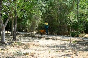 10 هزار مترمربع فضای سبز به بوستان های منطقه یک افزوده می شود