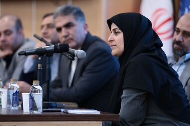 معدن و صنایع معدنی، الگوی پایداری و مسئولیت پذیری در شرایط خاص