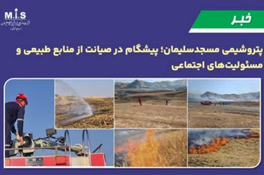 پیام مدیرعامل پتروشیمی مسجدسلیمان به مناسبت مراسم تشییع رهبر شهید