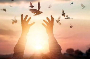  تسهیلات‌دهی گسترده بانک مسکن به پروژه‌های بزرگ‌مقیاس نهضت ملی در دولت چهاردهم