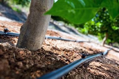  مرکز اسکان کارگری در منطقه ۲ به بهره‌برداری می‌رسد