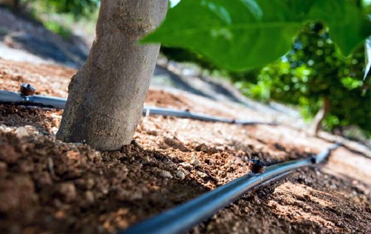 توسعه شبکه آبیاری فضای سبز در منطقه ۲ شهرداری تهران