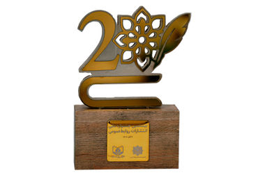 سامان الگویی برای بانکداری حرفه ای در ایران است 