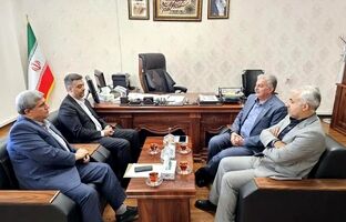 نقش کلیدی بانک مسکن در توسعه بخش مسکن با پرداخت بیش از ۷۰ درصدی تسهیلات نهضت ملی
