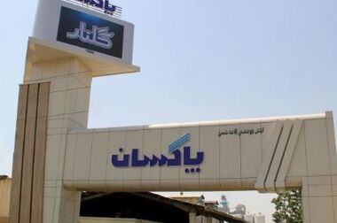 عرضه پودرهای نایلونی ۳ و ۵ کیلویی «برف» و «سپید» ویژه بازار داخلی آغاز شد
