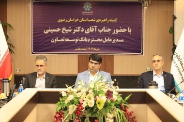 شیخ حسینی: راهبرد بانک توسعه تعاون در نیمه دوم سال افزایش سهم بازار است