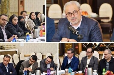 بازدید سرزده مدیرعامل بیمه سینا از شعبه و شبکه فروش رشت