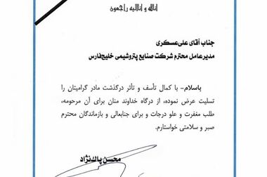 شکستن رکورد ۸ ساله دریافت خوراک پتروشیمی بندرامام