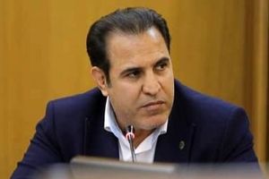  تکمیل طرح آبرسانی و کاشت ۳۳ هزار اصله درخت در دستور کار شهرداری منطقه ۱۳ 