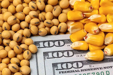 فراخوان نودمین حراج سکه طلا در مرکز مبادله ایران؛ واریز وجه 16 آذر، حراج 17 آذر