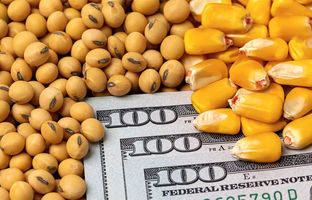 روند تامین ارز کالاهای اساسی و دارو طبق قانون بودجه 1404 ادامه دارد